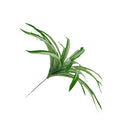 Plastic Lifelike Artificial Chlorophytum Bush Plants Foliage Plant DIY Decor