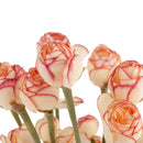 Faux Silk Plastic Artificial Rose Autumn Lotus Shape Flowers Wedding Party Home Office Decoration Coffee