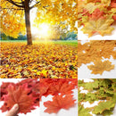 Pack of 100PCS Artificial Maple Leaf Autumn Fall Leaves Wedding Garden Decor Craft Projects Scrapbooking DIY Brown
