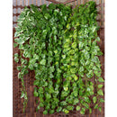 Artificial Beautiful Cloth 170 Leaves Watermelon Vine Home Office Garden Decor PACK OF 12PCS Green