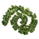 Artificial Beautiful Cloth 170 Leaves Pumpkin Vine Foliage Plant Home Office Garden Decor PACK OF 12PCS Green