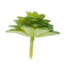 Green Artificial Succulent Desert Alocasia Plastic Real Touch Floral Decor