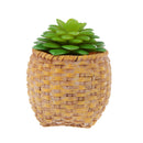 Green Artificial Succulent Desert Alocasia Plastic Real Touch Floral Decor