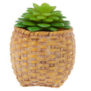 Green Artificial Succulent Desert Alocasia Plastic Real Touch Floral Decor