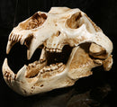 White Polar Bear Resin Skull Replica Head Model Collection Home Bar Decor