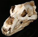 White Polar Bear Resin Skull Replica Head Model Collection Home Bar Decor