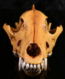 Resin Wolf Skull Replica Head Model Figurine Collection Bar Tabletop Decor