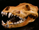 Resin Wolf Skull Replica Head Model Figurine Collection Bar Tabletop Decor
