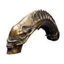 Predator VS Alien Skull Fossil Resin Model AVP Figure Statue Collectible Toy