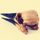 Retro Yellow Oystercatcher Resin Skull Head Model Home Bar Decor 17x6x7cm