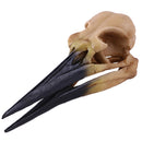 Retro Yellow Oystercatcher Resin Skull Head Model Home Bar Decor 17x6x7cm