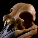 Retro Yellow Oystercatcher Resin Skull Head Model Home Bar Decor 17x6x7cm