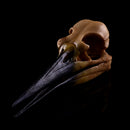Retro Yellow Oystercatcher Resin Skull Head Model Home Bar Decor 17x6x7cm