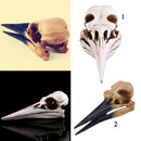 Retro Yellow Oystercatcher Resin Skull Head Model Home Bar Decor 17x6x7cm