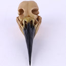 Retro Yellow Oystercatcher Resin Skull Head Model Home Bar Decor 17x6x7cm
