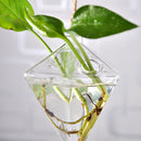 Diamond Shape Hanging Clear Glass Plant Flower Vase Bottle Office Home Decor