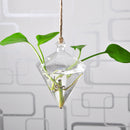 Diamond Shape Hanging Clear Glass Plant Flower Vase Bottle Office Home Decor