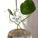 Creative Hanging Vase Clear Glass Angel Shape Flower Pot Home Decoration DIY