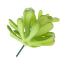 Artificial Succulent Echeveria Foliage Plastic Plant Home Flower Arrangement Decor