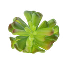Artificial Succulent Echeveria Foliage Plastic Plant Home Flower Arrangement Decor