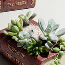 Garden Planter Vintage Book Flower Cactus Succulent Plant Pot Box Container