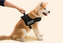Soft Breathable Adjustable High Strength D-Ring Dog Harness Safety Equipment Pet Supplies Black XL