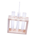 Creative Test Tube Vase in Wooden Stand Flower Plant Pot Home Decoration DIY