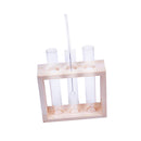Creative Test Tube Vase in Wooden Stand Flower Plant Pot Home Decoration DIY