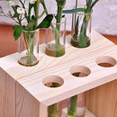 Creative Test Tube Vase in Wooden Stand Flower Plant Pot Home Decoration DIY