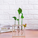 Creative Test Tube Vase in Wooden Stand Flower Plant Pot Home Decoration DIY