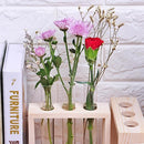 Creative Test Tube Vase in Wooden Stand Flower Plant Pot Home Decoration DIY