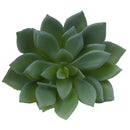 Miniature Lifelike Artificial Succulents Plants Flower Echeveria Lotus Floral Decor Photo Props