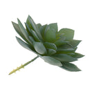 Miniature Lifelike Artificial Succulents Plants Flower Echeveria Lotus Floral Decor Photo Props