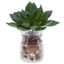 Miniature Lifelike Artificial Succulents Plants Flower Echeveria Lotus Floral Decor Photo Props