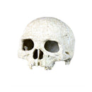Reptile,Snake,Turtle,Vivarium Rock,Caves,Decor Aquarium Ornament Human Skull