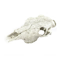 Reptile Vivarium Decoration Tortoise Lizard Breading Hide Cave Aquarium Ornament Resin Platypus Skull