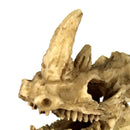 Reptile,Snake,Turtle,Vivarium Rock,Caves,Decor Aquarium Ornament Rhino Skull