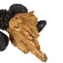 Reptile,Snake,Vivarium Rock,Caves,Decoration Aquarium Ornament Goat Skull