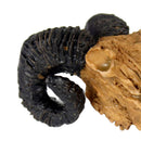 Reptile,Snake,Vivarium Rock,Caves,Decoration Aquarium Ornament Goat Skull