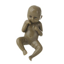 2.75'' Reborn Baby Boy Dolls Realistic Mini Lifelike Full Body Newborn Brown