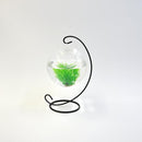 Vivid Artificial Plastic Plant Green Grass Aquarium Fish Tank Decoration Ornament 7cm