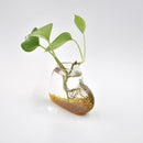 Creative Heart-shaped Clear Plant Flower Glass Vase Terrarium Container Hydroponic Pot Home Office Decor