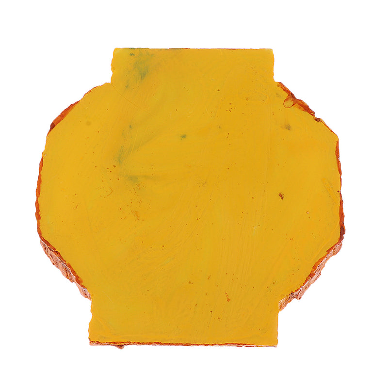 Reptile Vivarium Terrarium Feeding Bowl lizard Gecko Water Worm Feeder