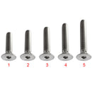 M8*25 Titanium Alloy GR5 TC4 Hex-Socket Screw Allen Head Cap Bolt Screw Pack of 5