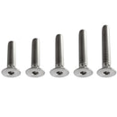 M8*25 Titanium Alloy GR5 TC4 Hex-Socket Screw Allen Head Cap Bolt Screw Pack of 5
