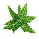 Taro Leaves Artificial Grass Leaf Greenery Foliage Plant Home Decor Green