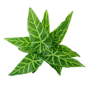 Taro Leaves Artificial Grass Leaf Greenery Foliage Plant Home Decor Green