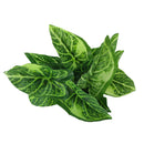 Plastic Foliage Artificial Taro Leaves Grass Bush Home Party Decor Green