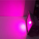 10W Flood light Waterproof Outdoor Security Spotlight Commercial Light Purple