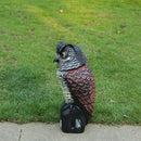 Realistic Owl Decoy Weed Pest Control Garden Bird Scarer Scarecrow w/ Rotating Head